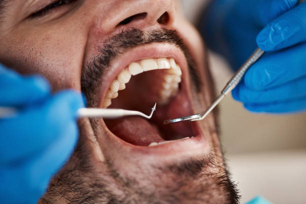 Best Urgent Dental Care in Effort, PA